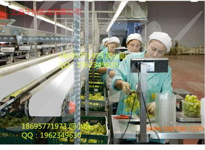 供應(yīng)食品白色耐油1.2mmpu輸送帶,供應(yīng)食品白色耐油1.2mmpu輸送帶生產(chǎn)廠家,供應(yīng)食品白色耐油1.2mmpu輸送帶價格